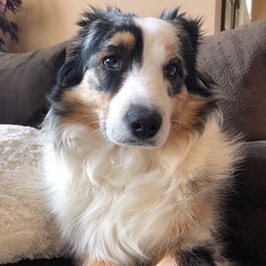 Meet your Posher, Isabella